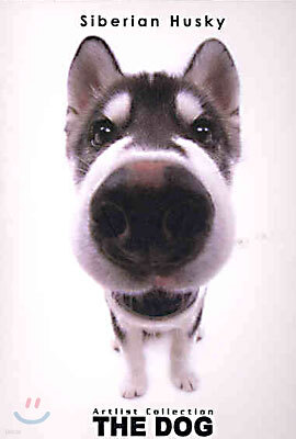 Siberian Husky(시베리안 허스키)
