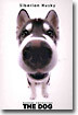 Siberian Husky(시베리안 허스키)