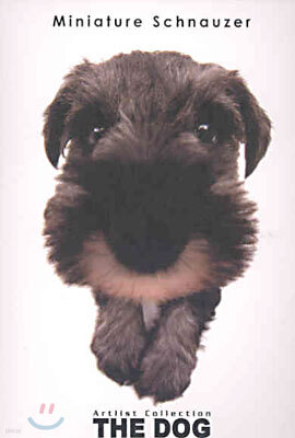 Miniature Schnauzer(미니어처 슈나우저)