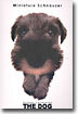Miniature Schnauzer(미니어처 슈나우저)