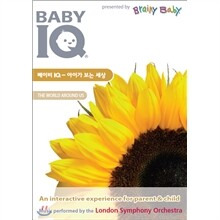 베이비 IQ : 아이가 보는 세상