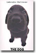 Labrador Retriever(레브라도 리트리버)
