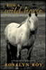 Ride a Wild Horse