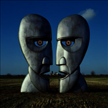 Pink Floyd - Division Bell (Gatefold Cover)(180G)(2LP)