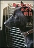 捨て犬たちとめざす明日