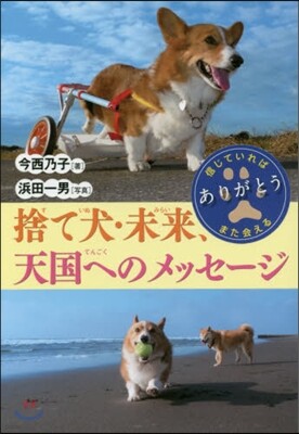 捨て犬.未來,天國へのメッセ-ジ