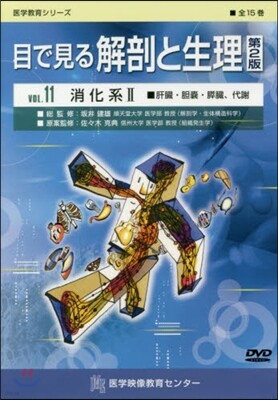 DVD 目で見る解剖と生理(11) 2版