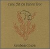 Graham Coxon - Crow Sit On Blood Tree
