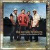 Neville Brothers - Walkin' In The Shadow Of Life