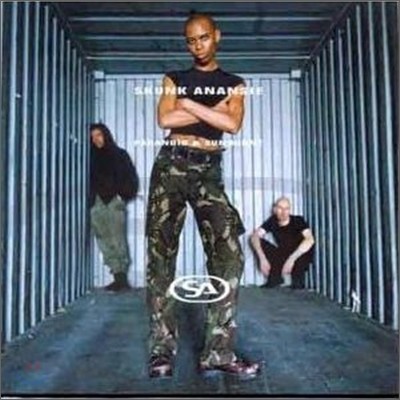 Skunk Anansie - Paranoid & Sunburnt