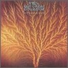 Van Der Graaf Generator - Still Life
