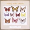 Barclay James Harvest - Collection