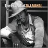 Taj Mahal - Essential