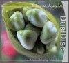 Fiona Apple - Extraordinary Machine