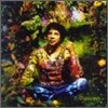 Laurent Voulzy - Saisons: Best Of