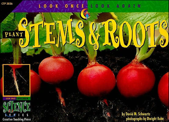 Plant Stems &amp; Roots
