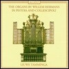 Liuwe Tamminga 피스토니아(1664)와 콜레스키폴리(1678)의 빌렘 헤르만스 오르간 (The Organs By Willem Hermans In Pistoia And Collescipoli)