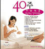 임신출산 40주