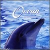 스트레스 해소 효과 - Ocean