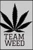 Stoner Journals: Team Weed: 420 Friendly Stoner Journals To Record Your Thoughts, Ideas & Sketches