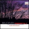 Lovro Von Matacic 브루크너 : 교향곡 7번 (Anton Bruckner: Symphony No.7)