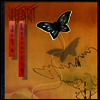 Heart - Dog And Butterfly (Gatefold Cover)(180G)(Blue LP)