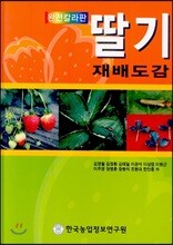 딸기 재배도감