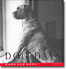 DOG DAYS