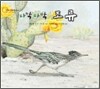 파닥파닥 조류