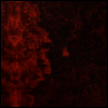 True Widow - Avvolgere (2LP)