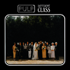 Pulp - Different Class (Limited Edition)(Green LP)