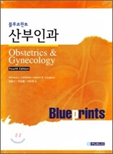 블루프린트 산부인과 4판