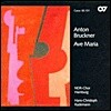 Dresdner Kammerchor 브루크너: 코랄 작품집 (Bruckner: Choral Works)