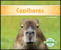 Capibaras (Capybaras)
