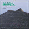 Ari Rasilainen 살리넨: 교향곡 2, 4번 (Sallinen : Symphonies Nos.2, 4)