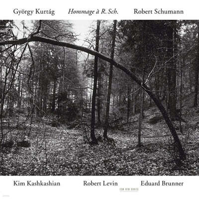 Kim Kashkashian 쿠르탁: 슈만 예찬 (Kurtag : Hommage A Robert Schumann)