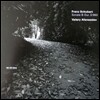 Valery Afanassiev 슈베르트: 피아노 소나타 21번 (Schubert: Piano Sonata D960)