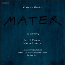 Iva Bittova 블라디미르 고다르: 마테르 (Vladimir Godar: Mater)
