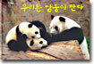 우리는 쌍둥이 판다