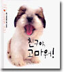 친구야, 고마워!