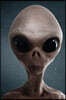 Say Hello to the Grey Alien Journal (or Gray Alien if You Prefer): 150 page lined notebook/diary