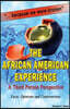 The African American Experience: A Third Person Perspective