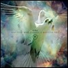 Kira Skov (키라 스코프) - May Your Mind Explode A Blossom Tree
