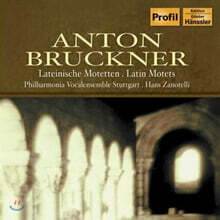 Hans Zanotelli 브루크너: 라틴 모테트 (Bruckner : Latin Motets)