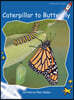 Caterpillar to Butterfly