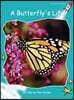 A Butterfly's Life
