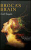 Broca's Brain: Reflections on the Romance of Science