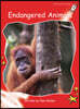 Endangered Animals