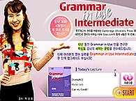 Grammar in Use Intermediate(STEP2)