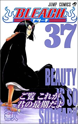 BLEACH ブリ-チ 37